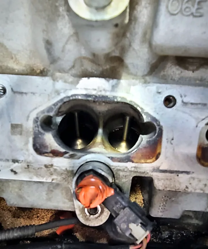 Mechanic Nation real work: Intake ports cleaned after walnut blasting